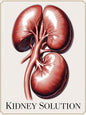 cure solution of your kidney totally